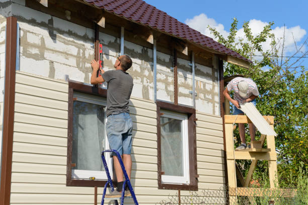 Best Vinyl Siding Installation  in Skagway, AK