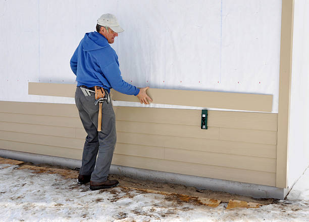 Best Stone Veneer Siding  in Skagway, AK