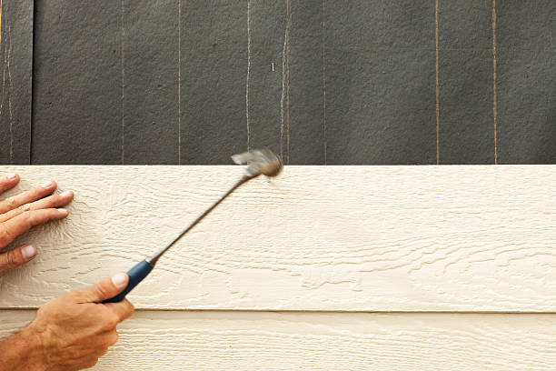 Best Steel Siding Installation  in Skagway, AK